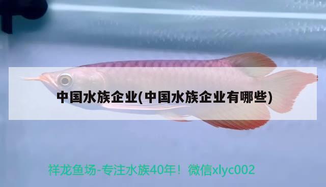 中国水族企业(中国水族企业有哪些) 2024第28届中国国际宠物水族展览会CIPS（长城宠物展2024 CIPS）