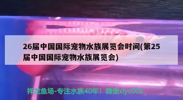 26届中国国际宠物水族展览会时间(第25届中国国际宠物水族展览会) 水族展会