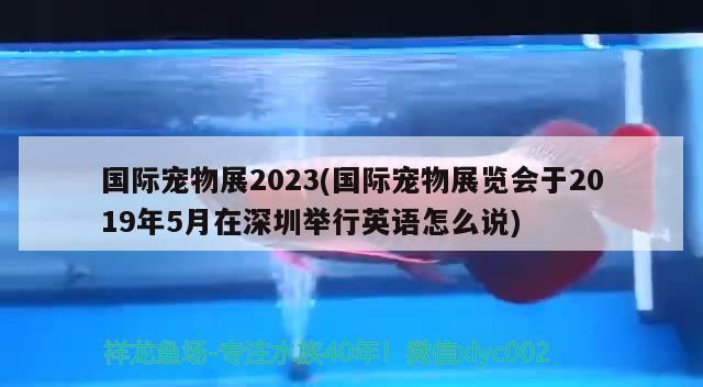 国际宠物展2023(国际宠物展览会于2019年5月在深圳举行英语怎么说)