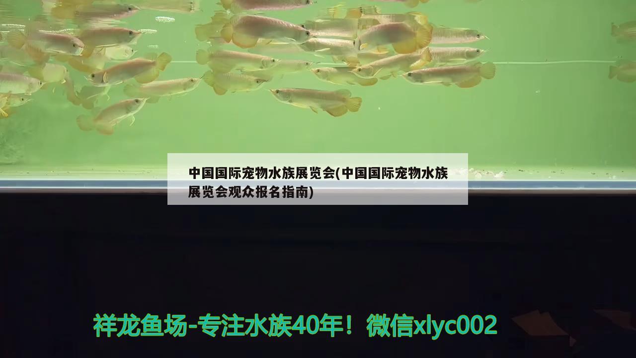 中国国际宠物水族展览会(中国国际宠物水族展览会观众报名指南) 水族展会