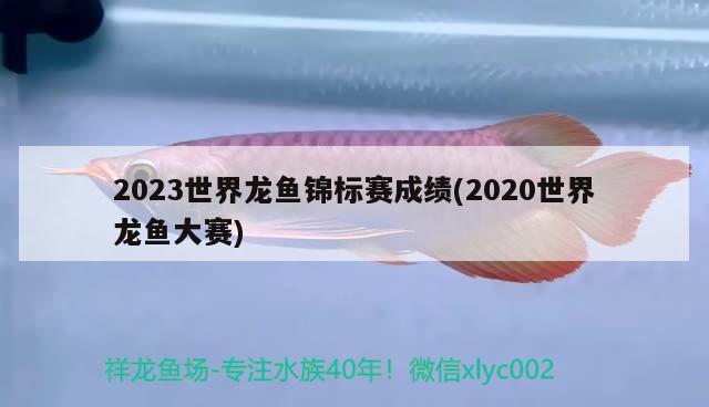 2023世界龙鱼锦标赛成绩(2020世界龙鱼大赛) 2024第28届中国国际宠物水族展览会CIPS（长城宠物展2024 CIPS）