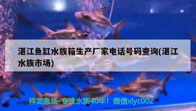 湛江鱼缸水族箱生产厂家电话号码查询(湛江水族市场)