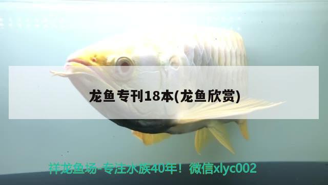 龙鱼专刊18本(龙鱼欣赏) 2024第28届中国国际宠物水族展览会CIPS（长城宠物展2024 CIPS）