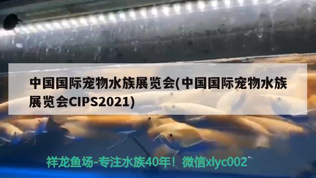 中国国际宠物水族展览会(中国国际宠物水族展览会CIPS2021) 水族展会