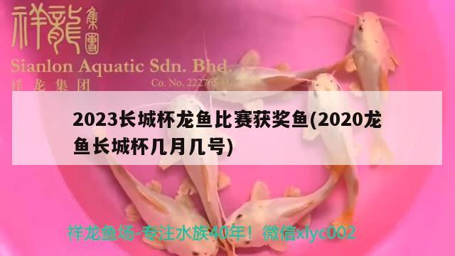 2023长城杯龙鱼比赛获奖鱼(2020龙鱼长城杯几月几号) 2024第28届中国国际宠物水族展览会CIPS（长城宠物展2024 CIPS）