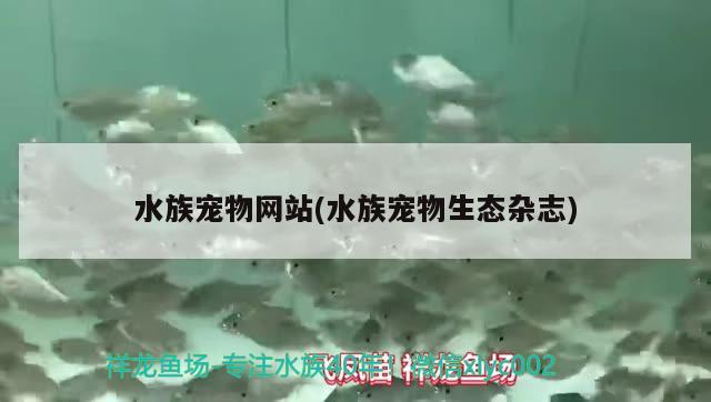 水族宠物网站(水族宠物生态杂志)