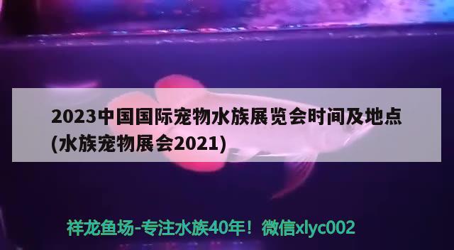 2023中国国际宠物水族展览会时间及地点(水族宠物展会2021)