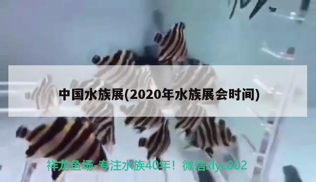 中国水族展(2020年水族展会时间) 水族展会