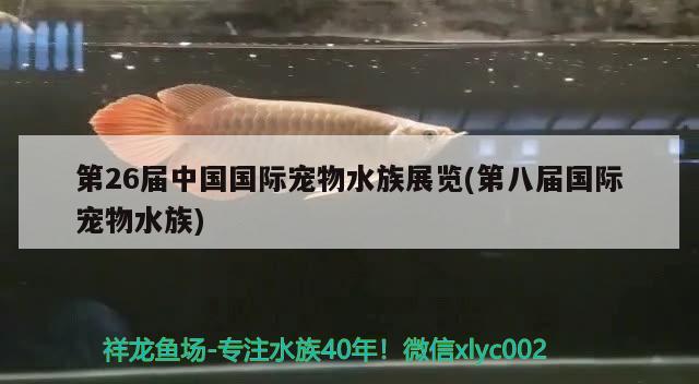 第26届中国国际宠物水族展览(第八届国际宠物水族) 水族展会