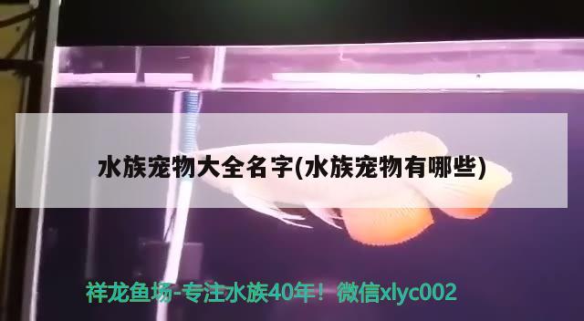 水族宠物大全名字(水族宠物有哪些) 2024第28届中国国际宠物水族展览会CIPS（长城宠物展2024 CIPS）