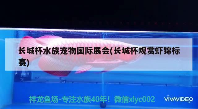 长城杯水族宠物国际展会(长城杯观赏虾锦标赛) 2024第28届中国国际宠物水族展览会CIPS（长城宠物展2024 CIPS）