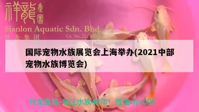 国际宠物水族展览会上海举办(2021中部宠物水族博览会) 水族展会 第3张