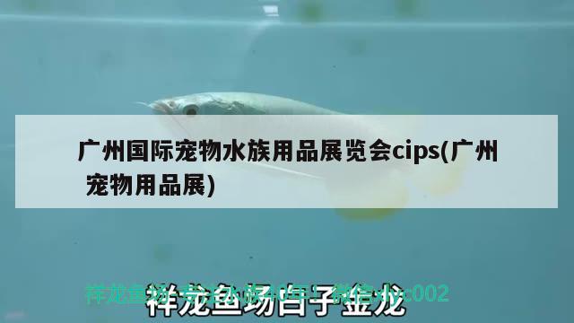 广州国际宠物水族用品展览会cips(广州宠物用品展)