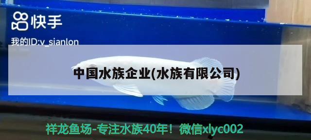 中国水族企业(水族有限公司) 2024第28届中国国际宠物水族展览会CIPS（长城宠物展2024 CIPS）