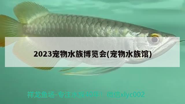 2023宠物水族博览会(宠物水族馆)