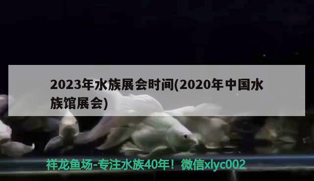 2023年水族展会时间(2020年中国水族馆展会)