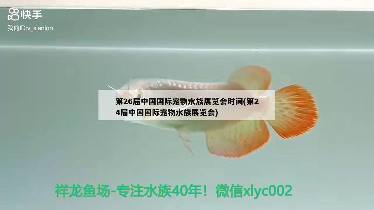 第26届中国国际宠物水族展览会时间(第24届中国国际宠物水族展览会) 水族展会