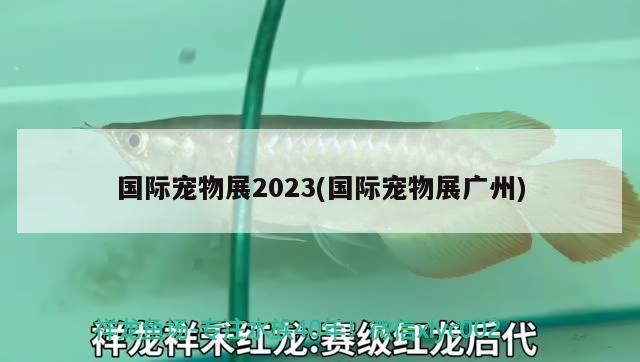 国际宠物展2023(国际宠物展广州) 2024第28届中国国际宠物水族展览会CIPS（长城宠物展2024 CIPS）