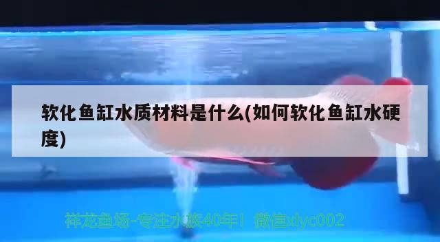 软化鱼缸水质材料是什么(如何软化鱼缸水硬度) 申古银版鱼