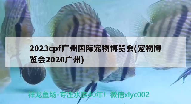 2023cpf广州国际宠物博览会(宠物博览会2020广州)