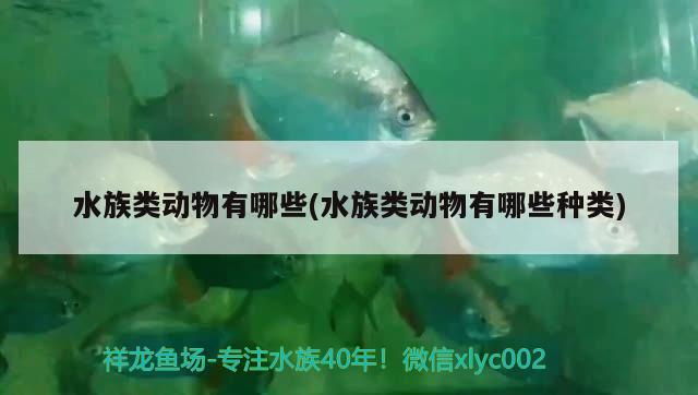 水族类动物有哪些(水族类动物有哪些种类) 2024第28届中国国际宠物水族展览会CIPS（长城宠物展2024 CIPS）