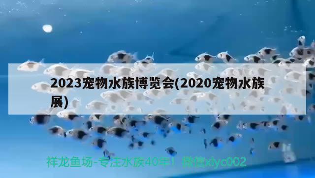 2023宠物水族博览会(2020宠物水族展)