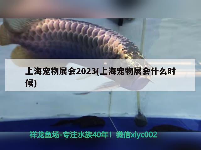 上海宠物展会2023(上海宠物展会什么时候)