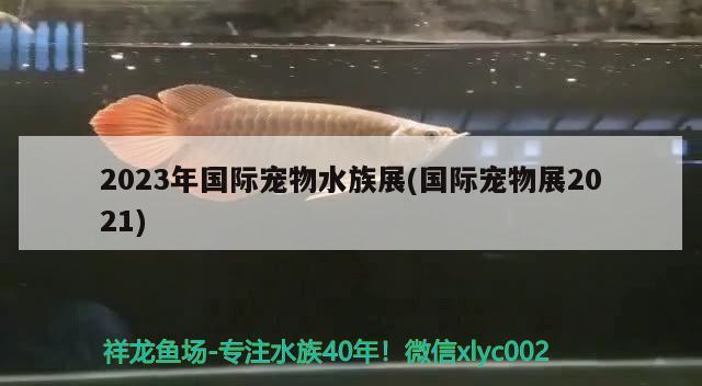 2023年国际宠物水族展(国际宠物展2021)