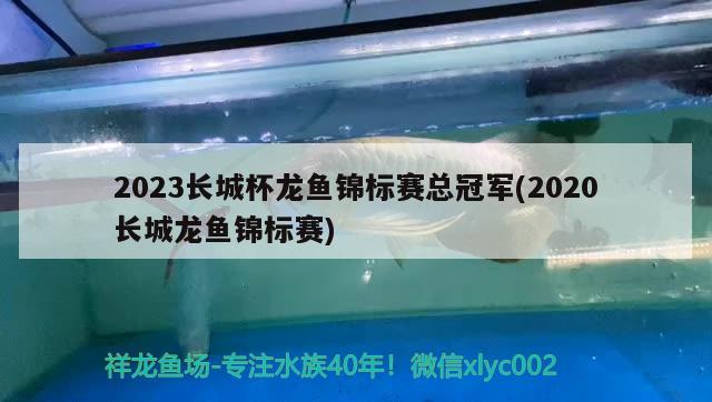 2023长城杯龙鱼锦标赛总冠军(2020长城龙鱼锦标赛)