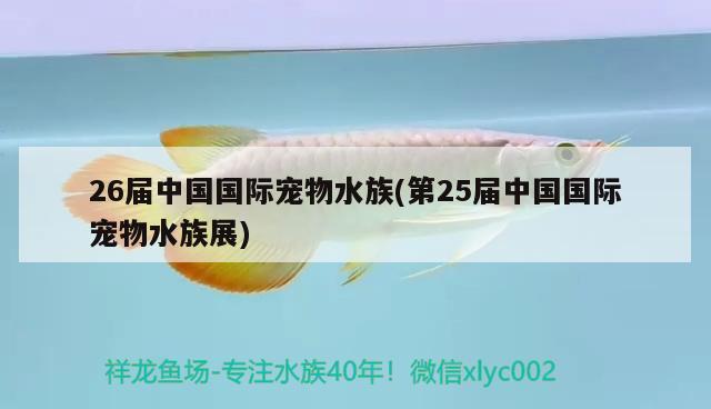 26届中国国际宠物水族(第25届中国国际宠物水族展)