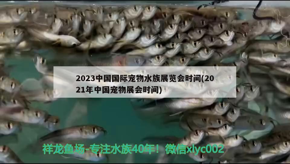 2023中国国际宠物水族展览会时间(2021年中国宠物展会时间) 水族展会