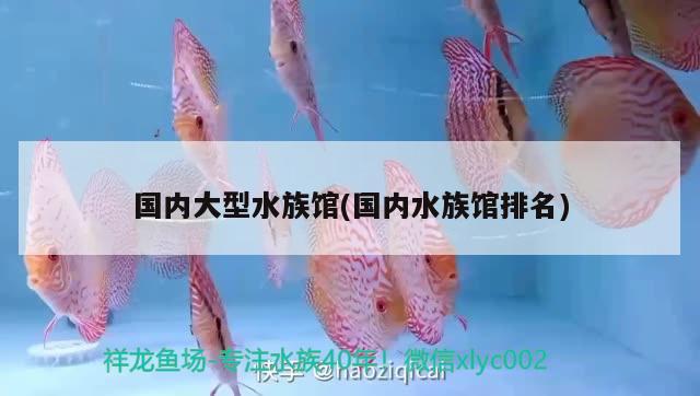 国内大型水族馆(国内水族馆排名)