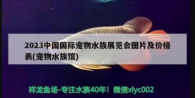 2023中国国际宠物水族展览会图片及价格表(宠物水族馆) 水族展会