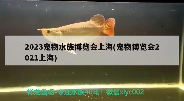 2023宠物水族博览会上海(宠物博览会2021上海)