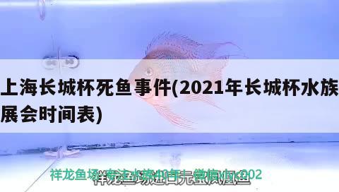 上海长城杯死鱼事件(2021年长城杯水族展会时间表)