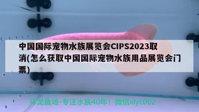 中国国际宠物水族展览会CIPS2023取消(怎么获取中国国际宠物水族用品展览会门票)