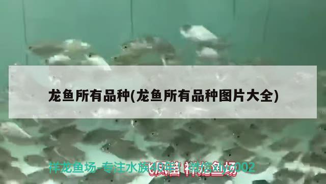 龙鱼所有品种(龙鱼所有品种图片大全) 2024第28届中国国际宠物水族展览会CIPS（长城宠物展2024 CIPS）