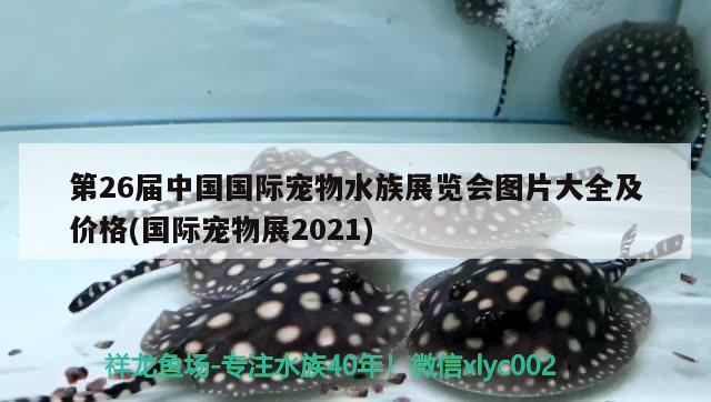 第26届中国国际宠物水族展览会图片大全及价格(国际宠物展2021)