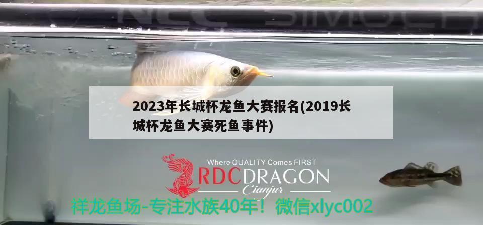 2023年长城杯龙鱼大赛报名(2019长城杯龙鱼大赛死鱼事件)