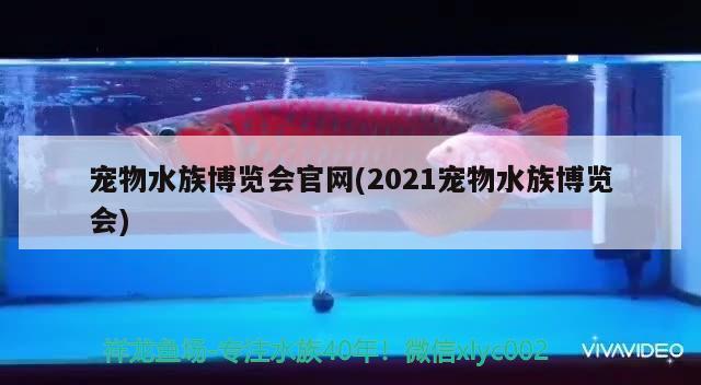 宠物水族博览会官网(2021宠物水族博览会)