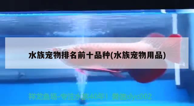 水族宠物排名前十品种(水族宠物用品)