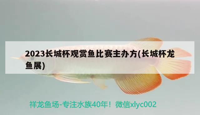 2023长城杯观赏鱼比赛主办方(长城杯龙鱼展)