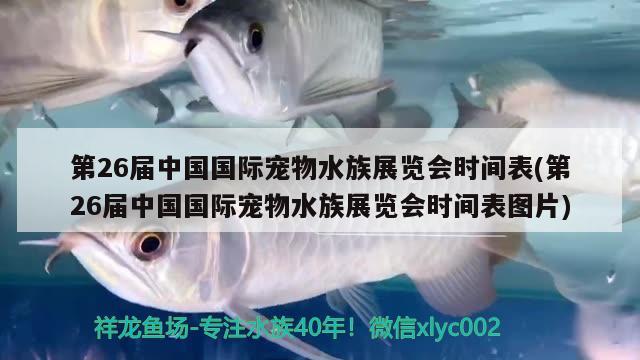 第26届中国国际宠物水族展览会时间表(第26届中国国际宠物水族展览会时间表图片)