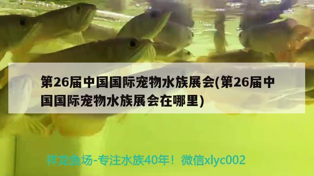 第26届中国国际宠物水族展会(第26届中国国际宠物水族展会在哪里)