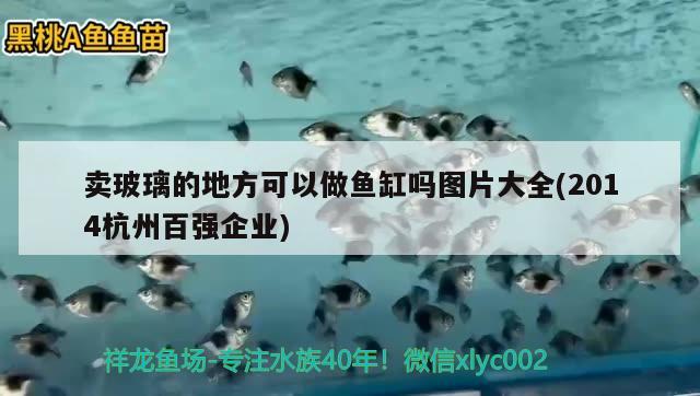 卖玻璃的地方可以做鱼缸吗图片大全(2014杭州百强企业)