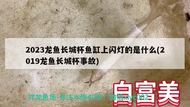 2023龙鱼长城杯鱼缸上闪灯的是什么(2019龙鱼长城杯事故)