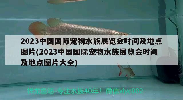 2023中国国际宠物水族展览会时间及地点图片(2023中国国际宠物水族展览会时间及地点图片大全)