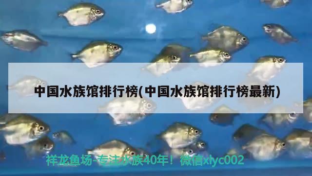 中国水族馆排行榜(中国水族馆排行榜最新) 2024第28届中国国际宠物水族展览会CIPS（长城宠物展2024 CIPS）