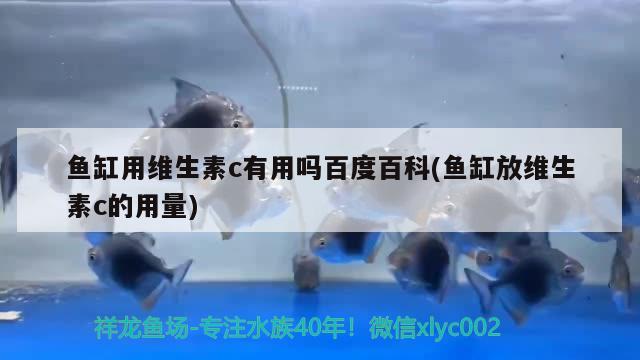 鱼缸用维生素c有用吗百度百科(鱼缸放维生素c的用量) 观赏鱼水族批发市场 第1张