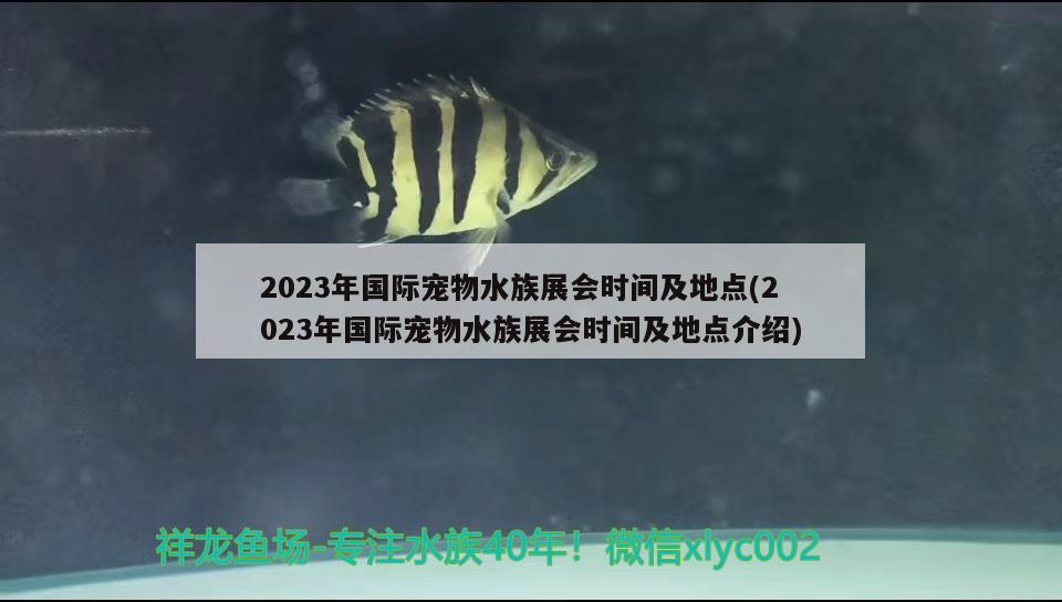 2023年国际宠物水族展会时间及地点(2023年国际宠物水族展会时间及地点介绍)